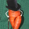 MrCarrot