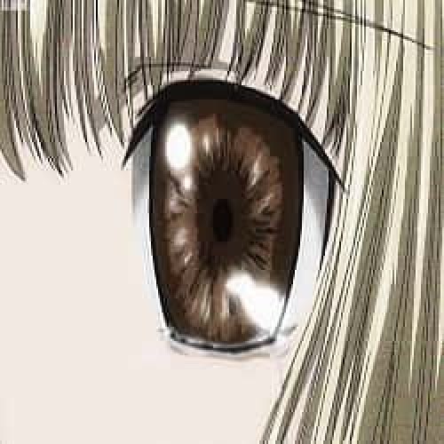 Ecchiha