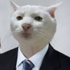 popapisasisa