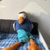 Данил Максимчук