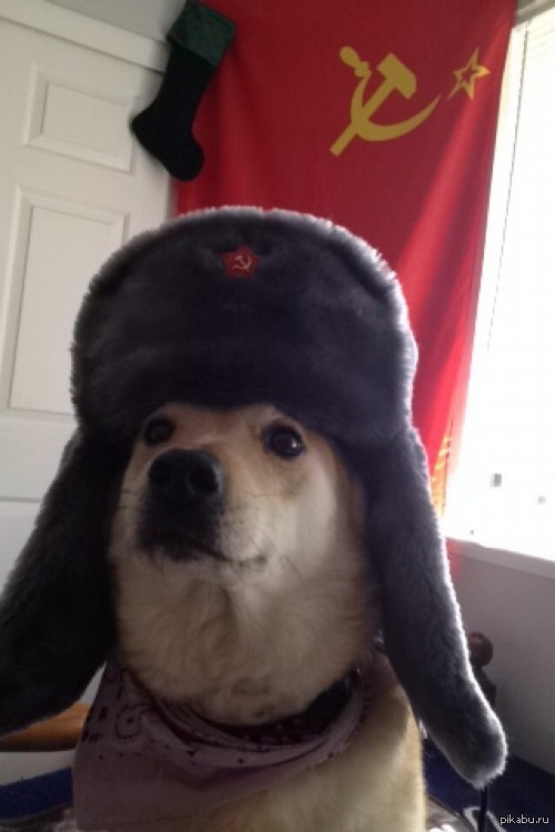 GMM.ДЕРЕВЕНСКИЙ