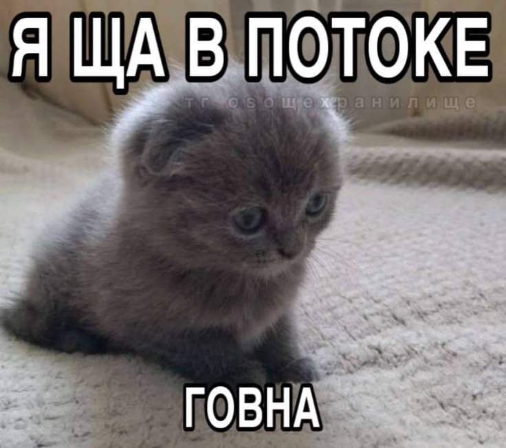 Регина Малыгина