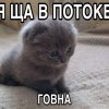 Регина Малыгина