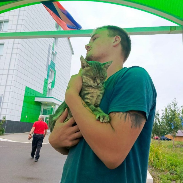CrazyKotletka