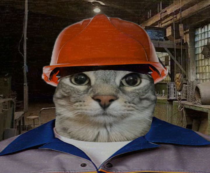 M0CCER